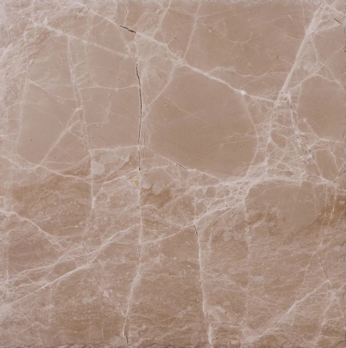 Royal Limestone